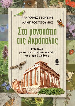 Στα μονοπάτια της Ακρόπολης: Γνωριμία με τα σπάνια φυτά και ζώα του Ιερού Βράχου